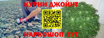 мдпв Ливны