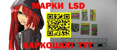 индика Усть-Илимск