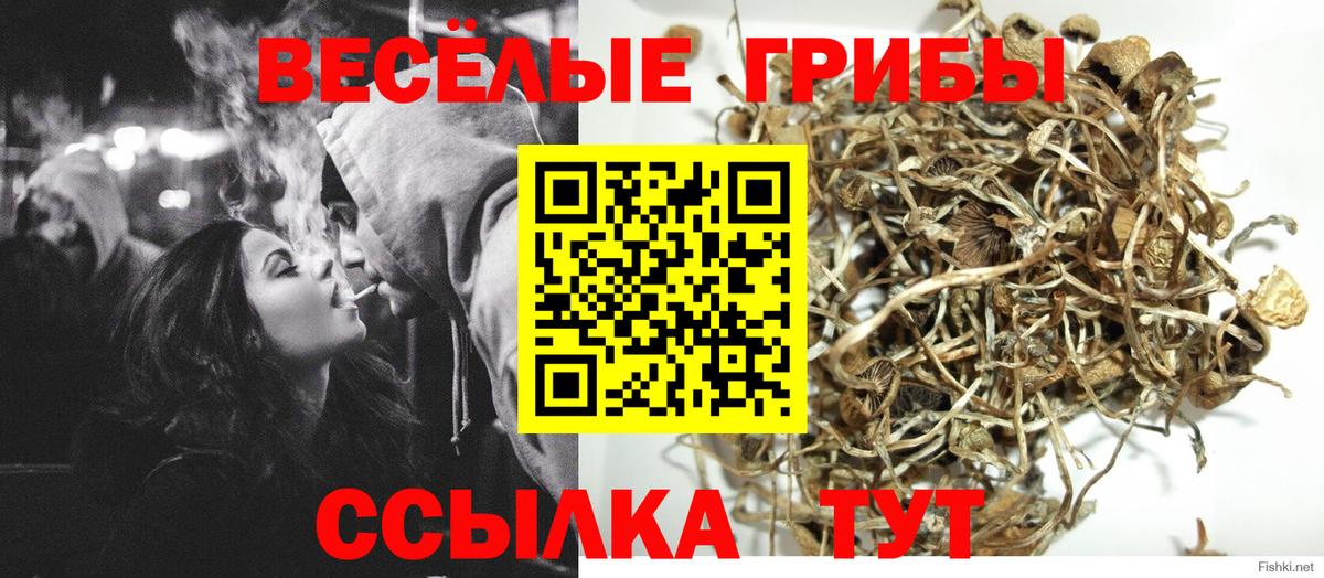 Галлюциногенные грибы Magic Shrooms Гусь-Хрустальный